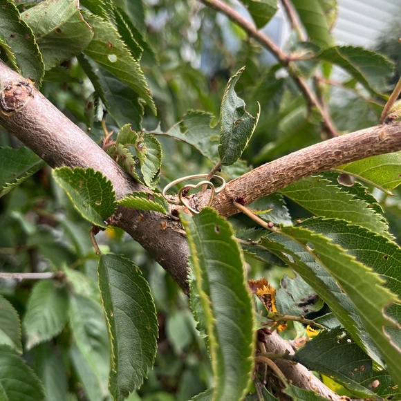 OPEN HEART RING - Picture 2 of 3